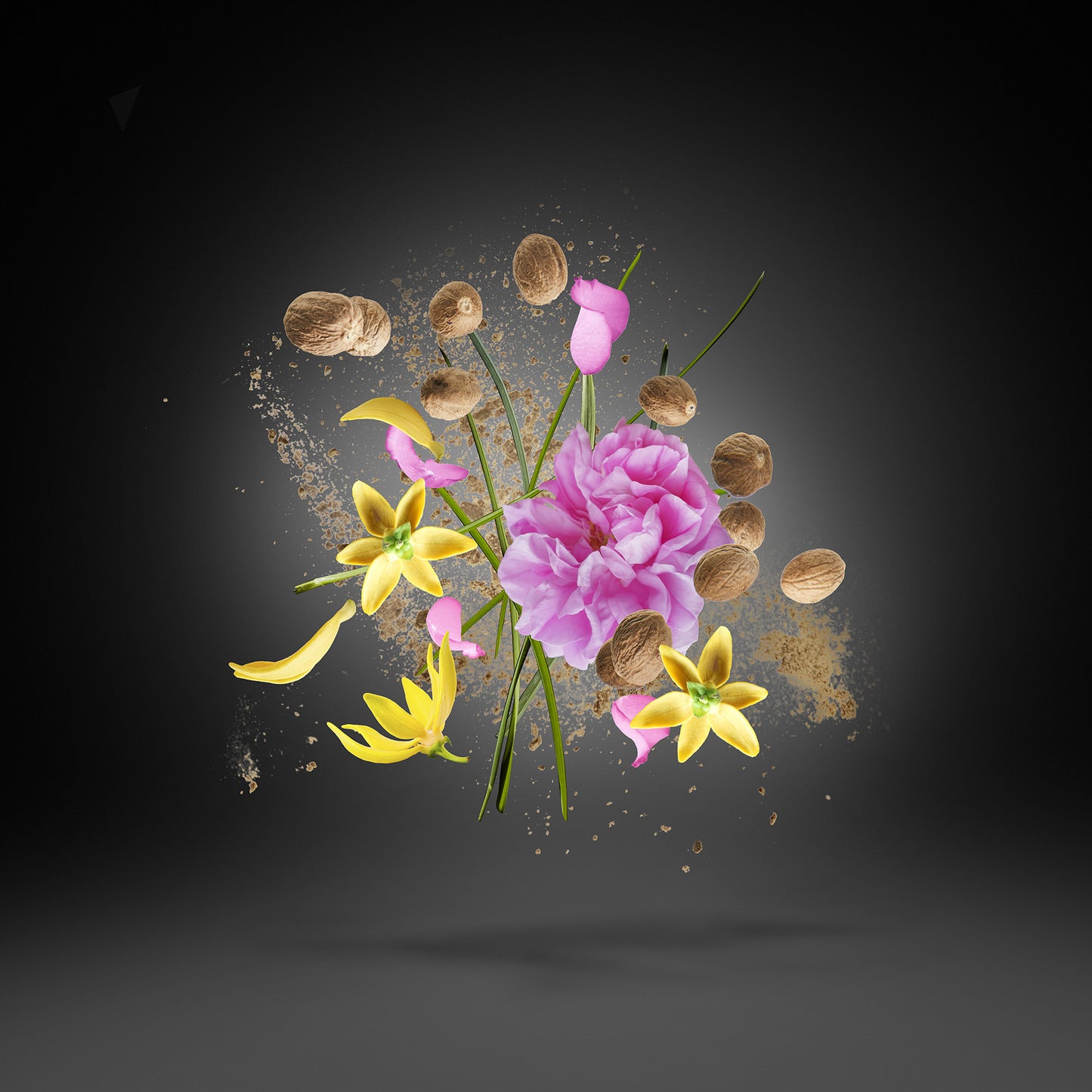 Xerjoff Opera - Eau De Parfum